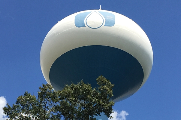 Baton Rouge Water Co.